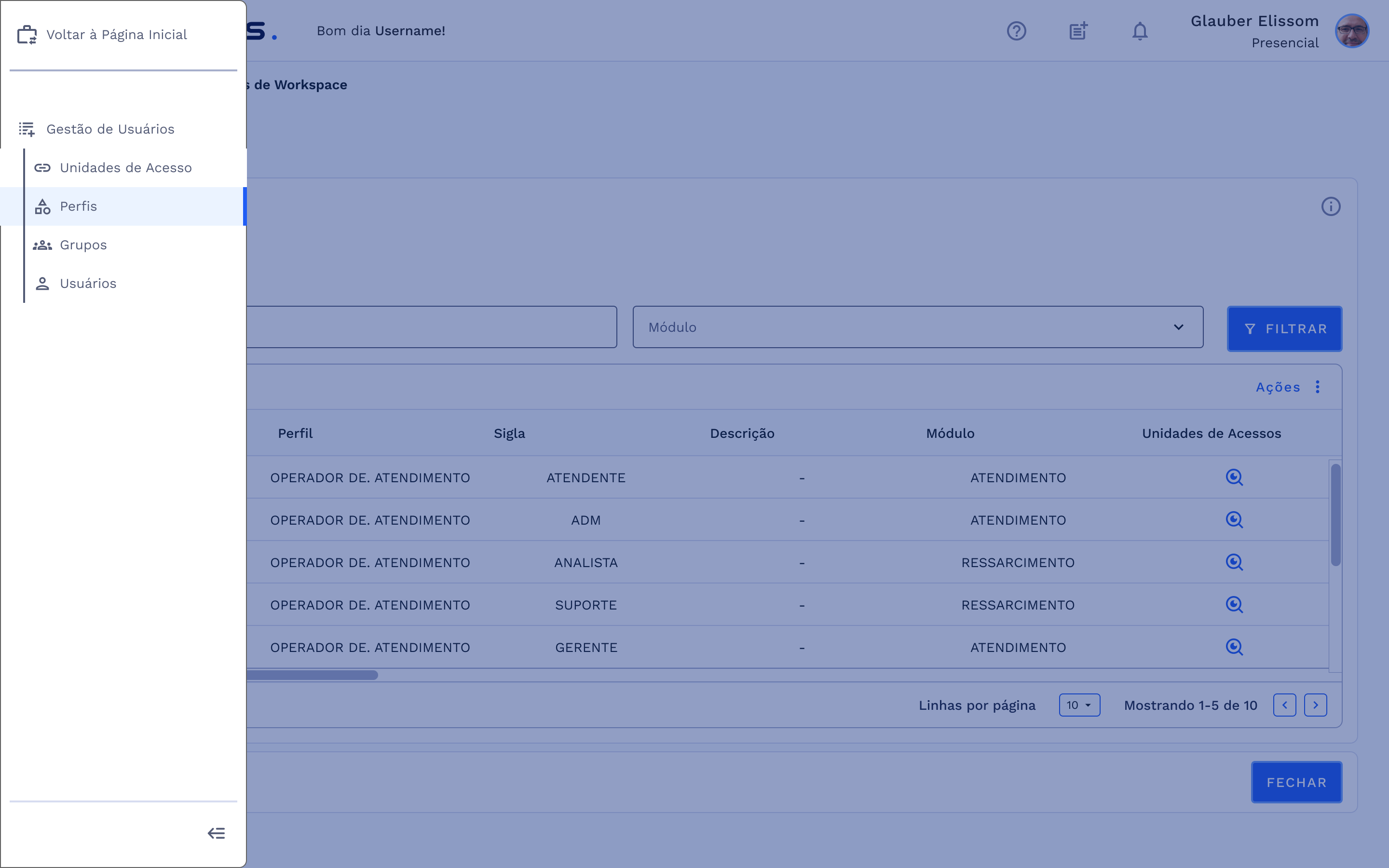 Menu: Gestão de Usuários – Perfis