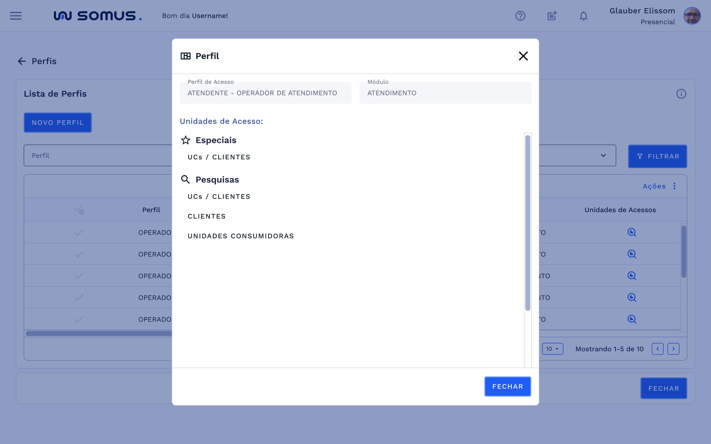 Perfil – Unidades de Acesso